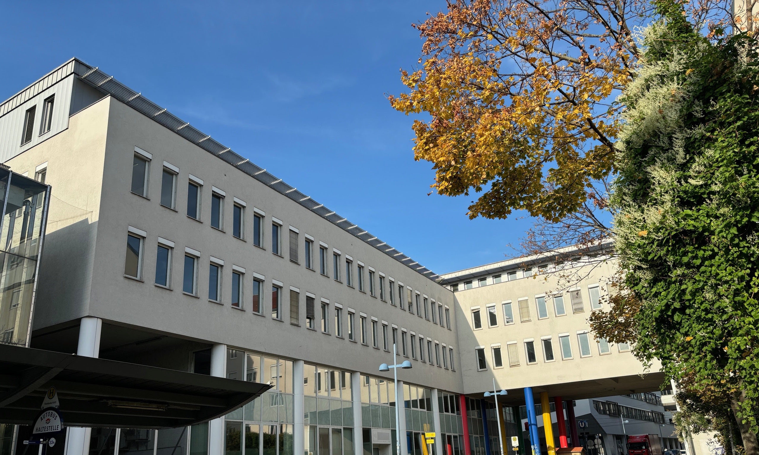 Autumnal deciduous trees adorn the view of the new Centre for Children's Culture.